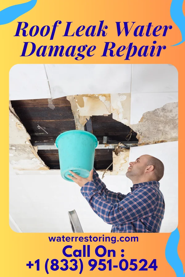 Roof Leak Water Damage Repair in Wildwood, FL